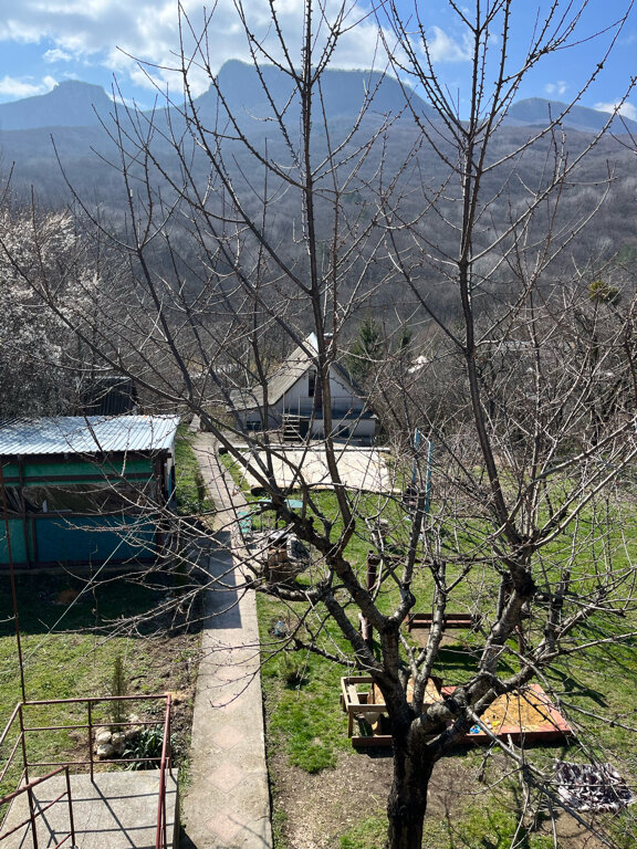 Фото Пчёлка