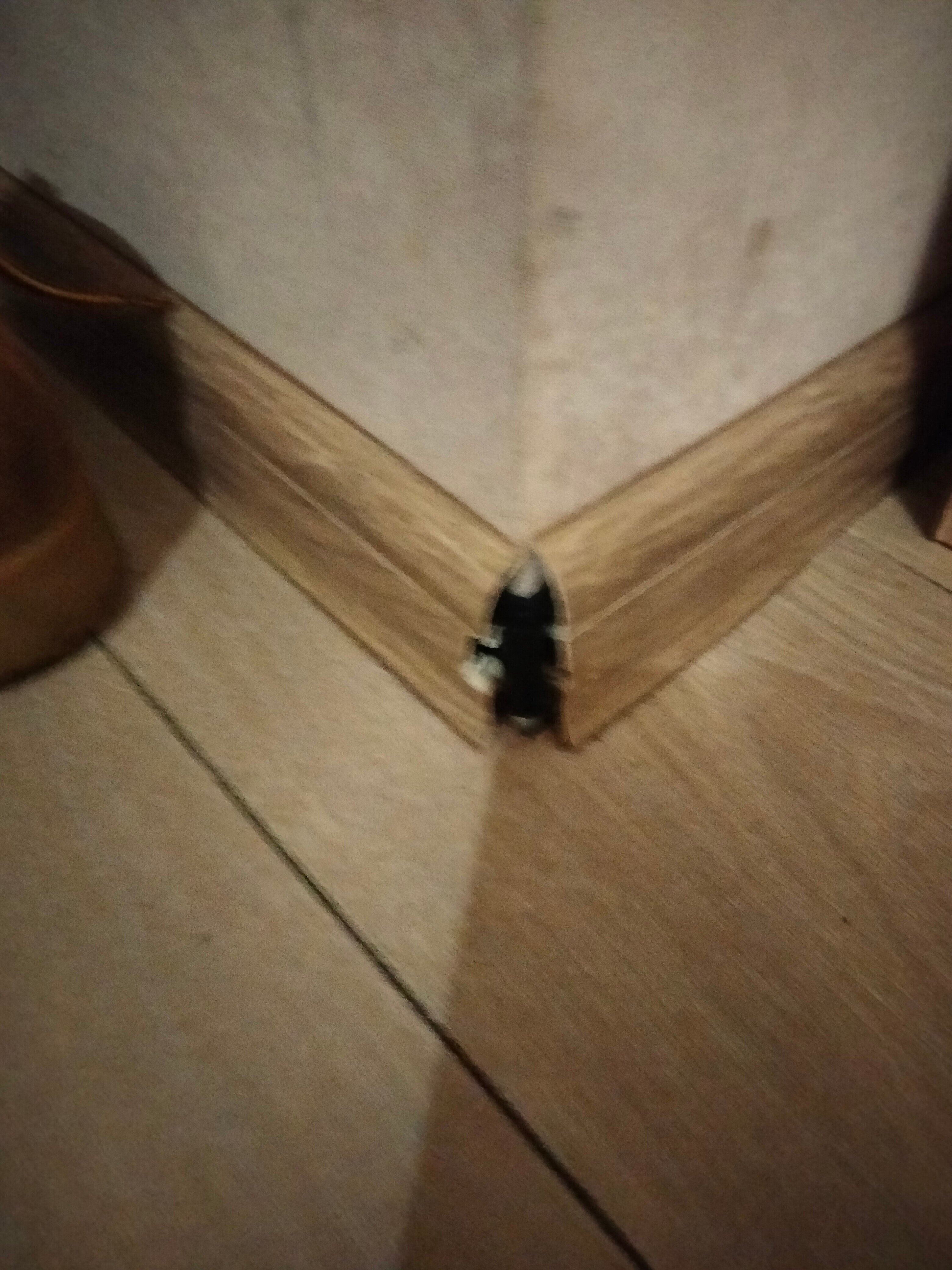 Фото Часы Лескова