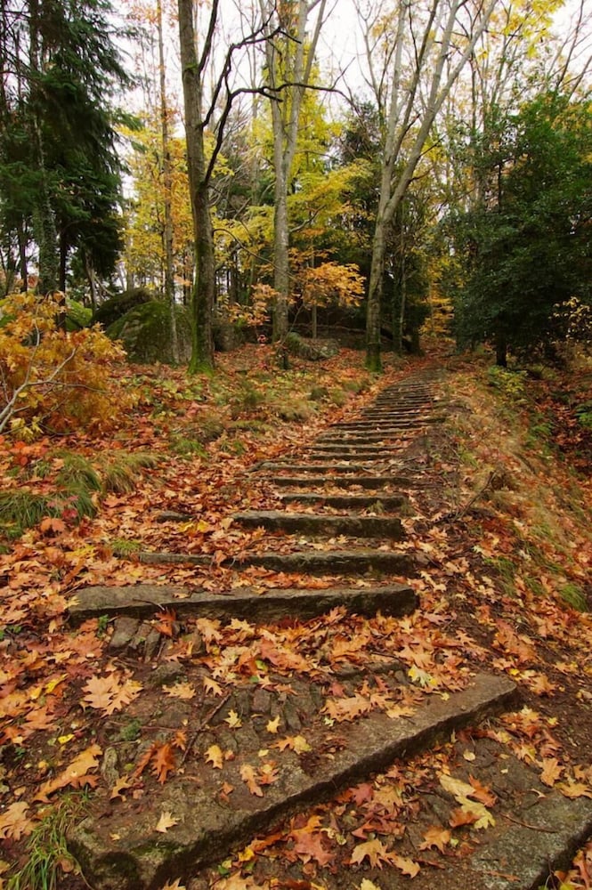 Фото Hotel Rural da Freita