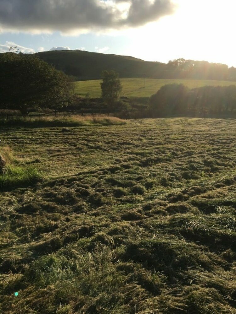 Фото Brynllwyd Glamping