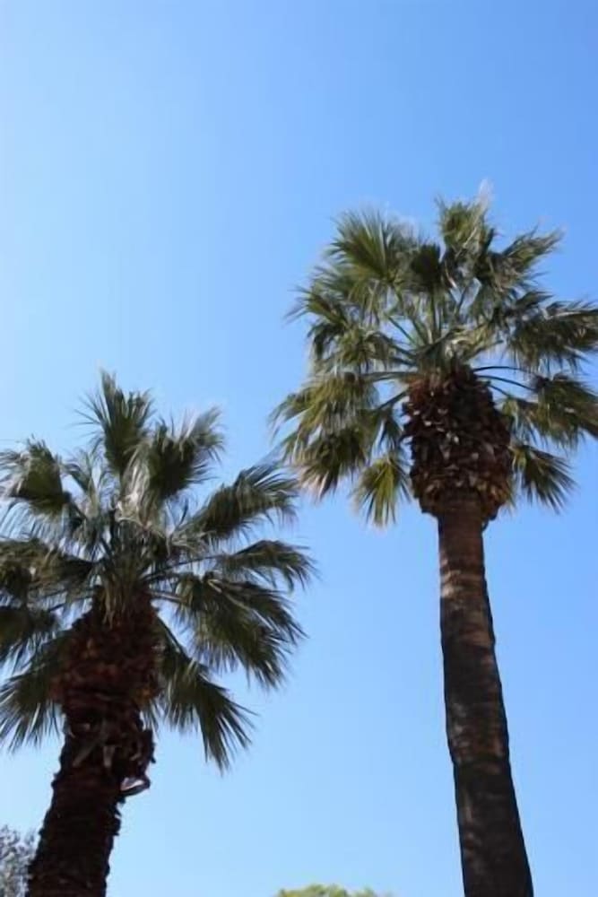 Фото The Suites at Central Split