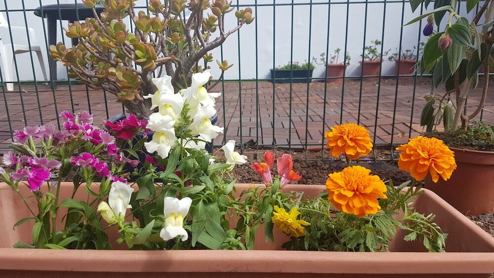 Фото Chalet Anagato