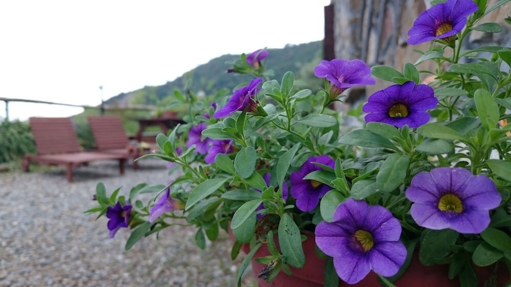 Фото Agriturismo Al Pagan