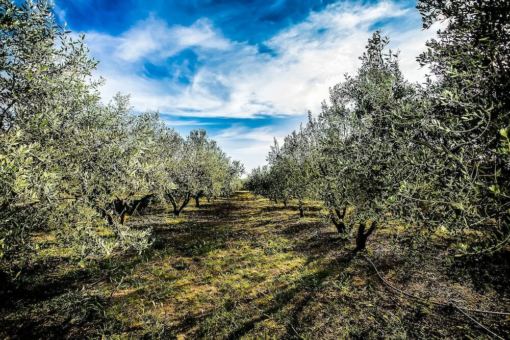 Фото Heritage Hotel Raznjevica Dvori