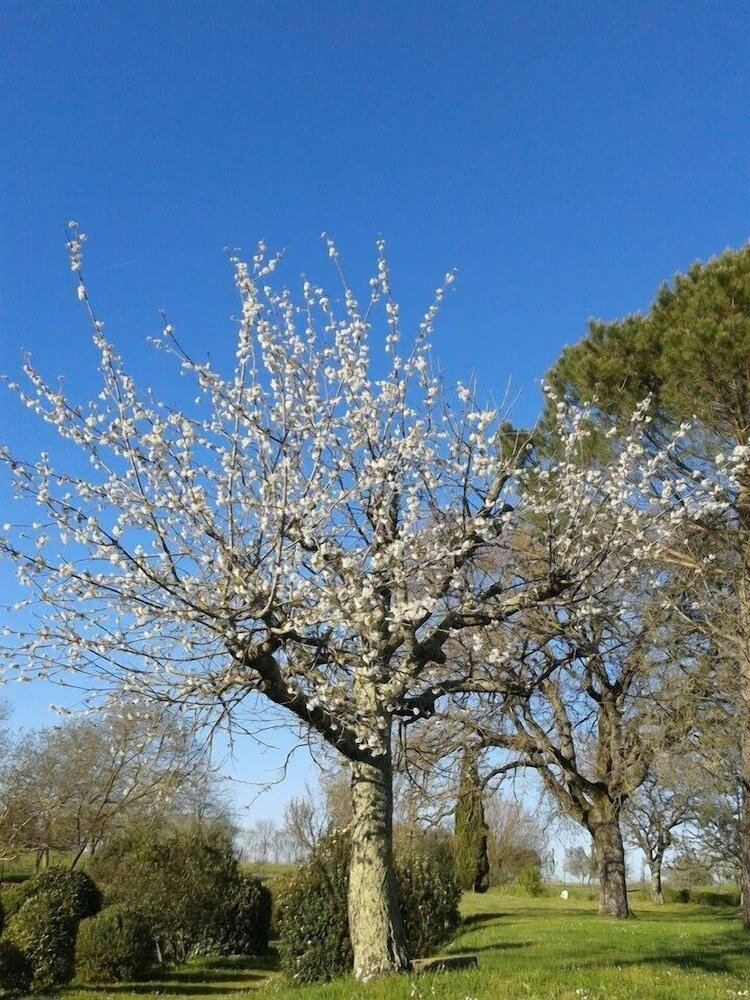 Фото Agriturismo Il Cornalino