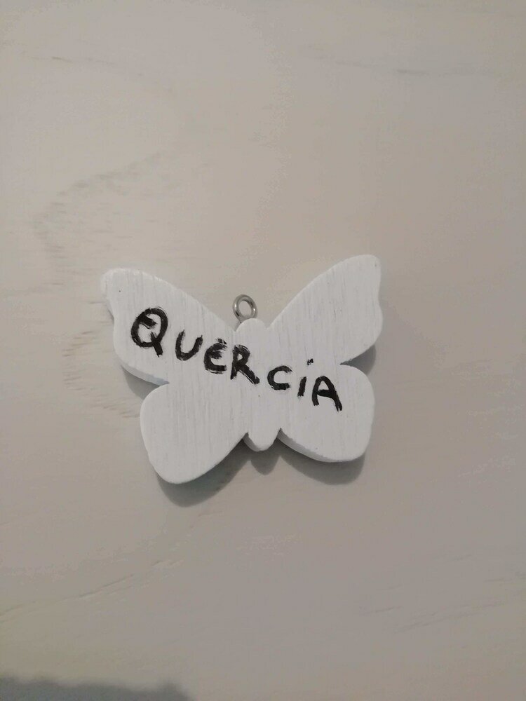 Фото In Campagna da Nino