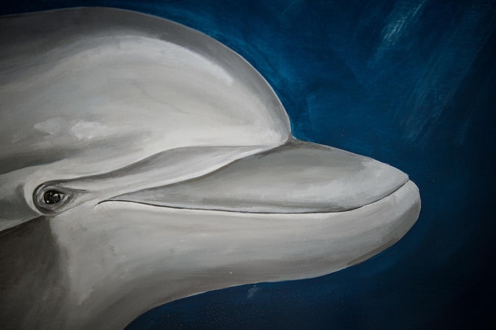 Фото Rio Art Hotel