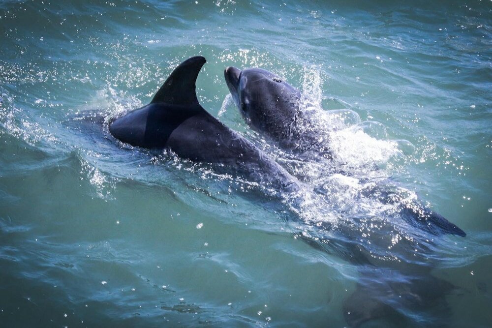 Фото Rio Art Hotel