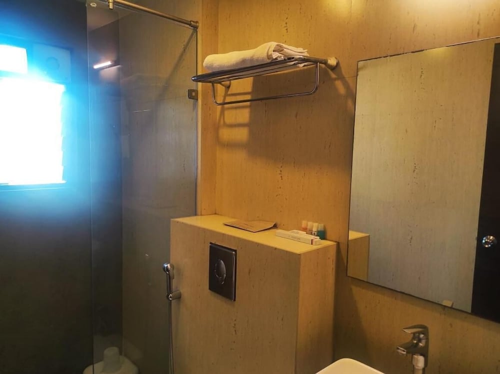 Фото Hotel Rasika