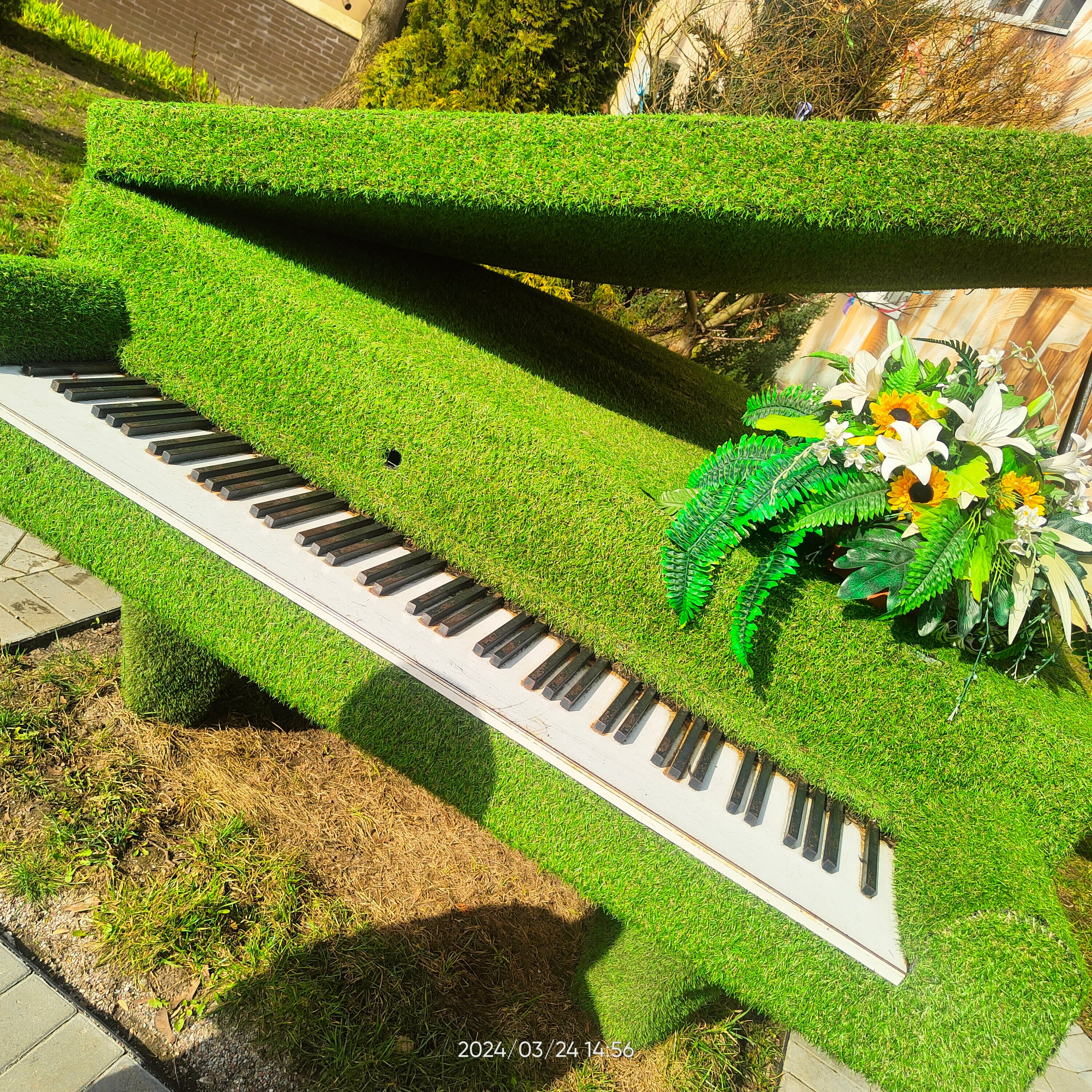 Фото Whale apart