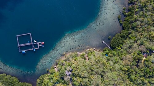 Гостиница Menjangan Ecolodge
