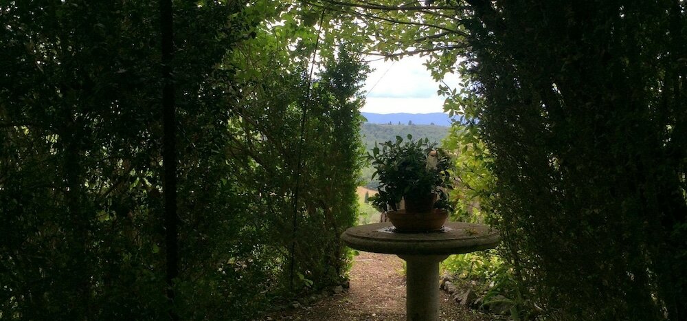 Фото Castello Montelifrè