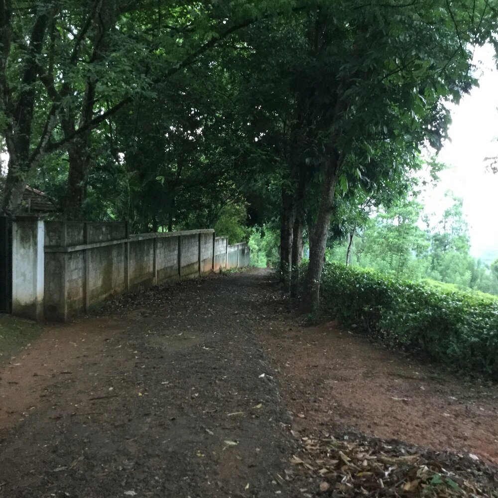 Фото Captain's Lodge