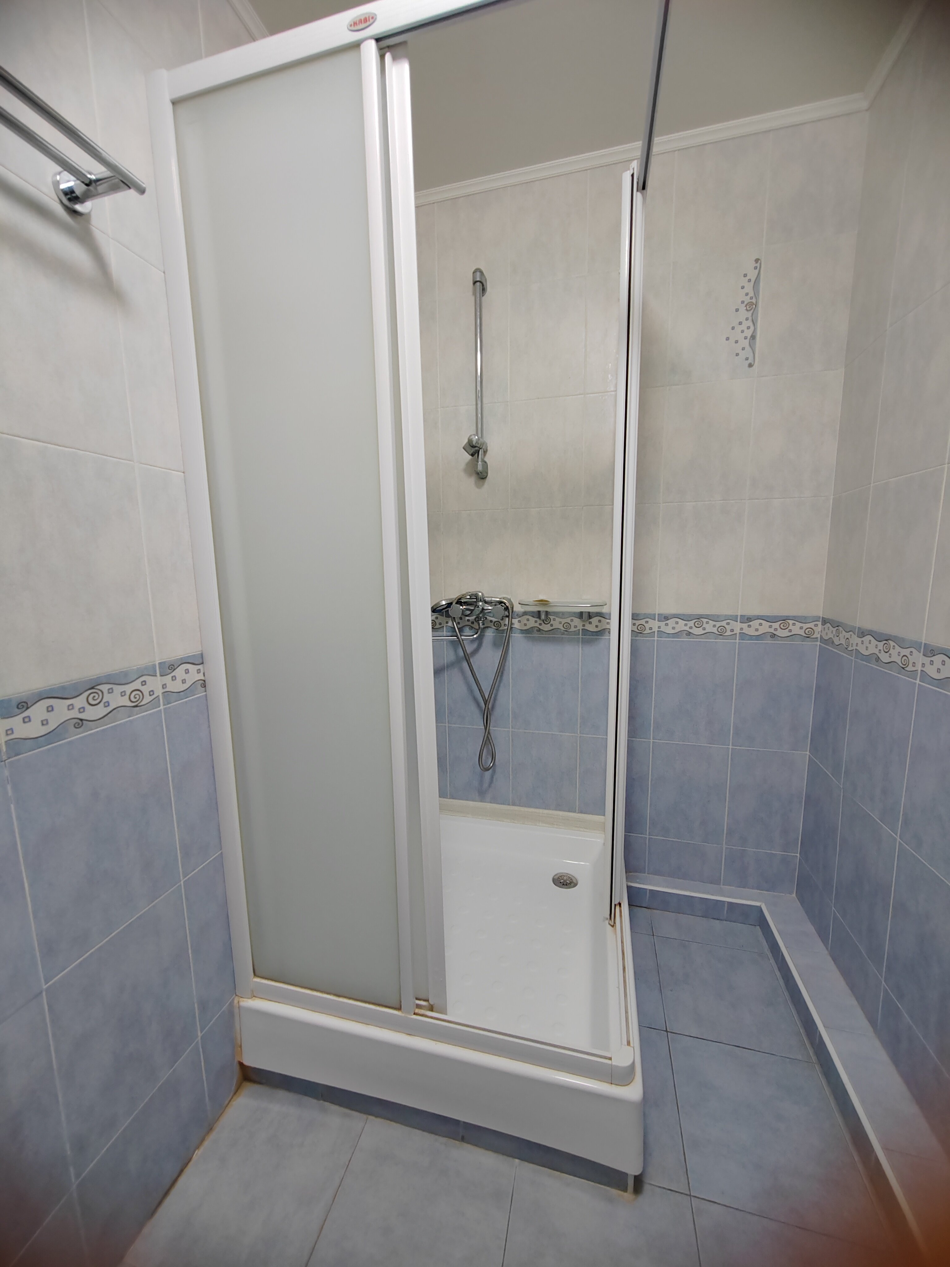 Фото Тюльпан