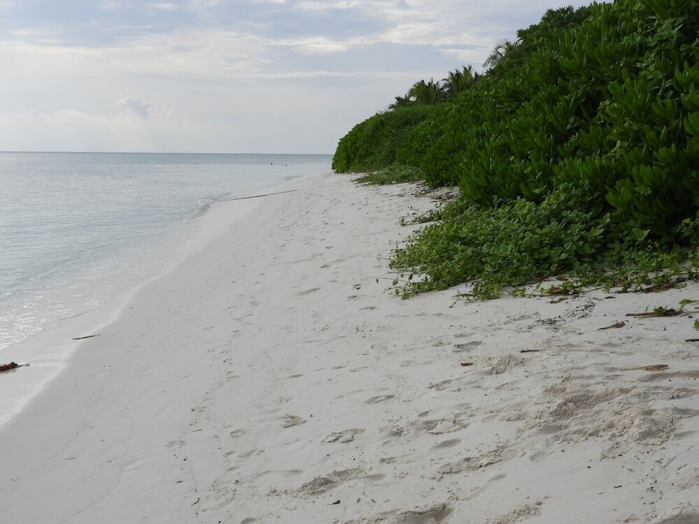 Фото Karaa Village