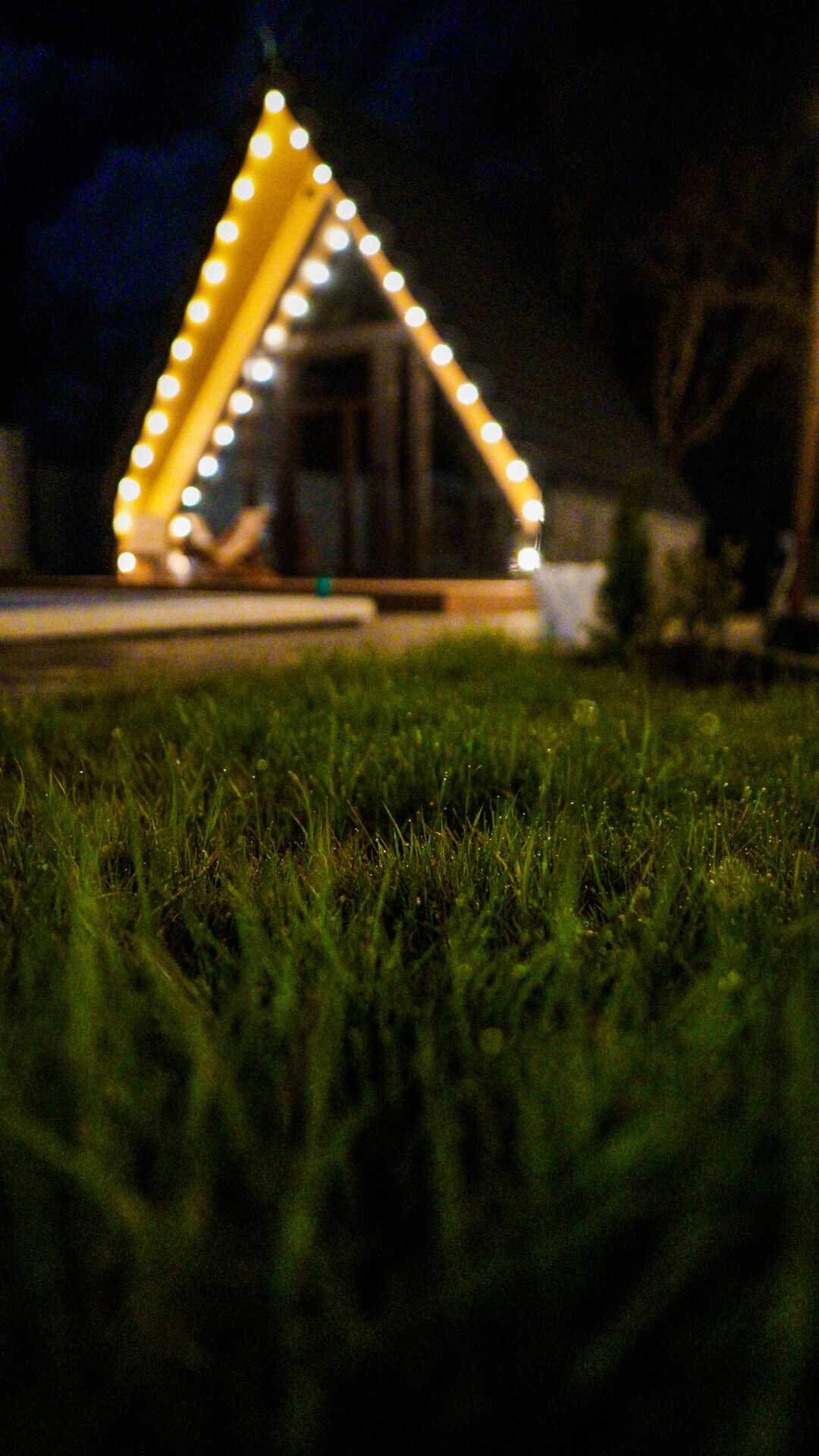 Фото Лимон&Мята