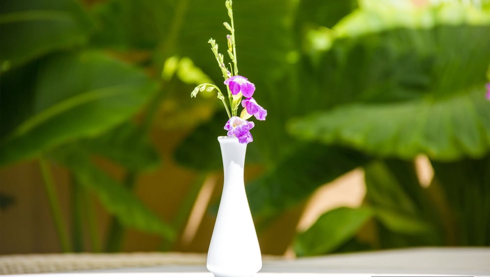 Фото Banana Residence