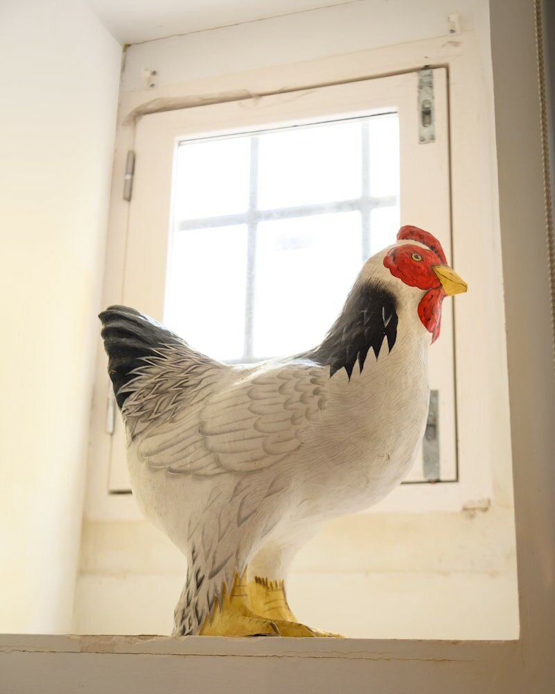 Фото Alfama Yellow House