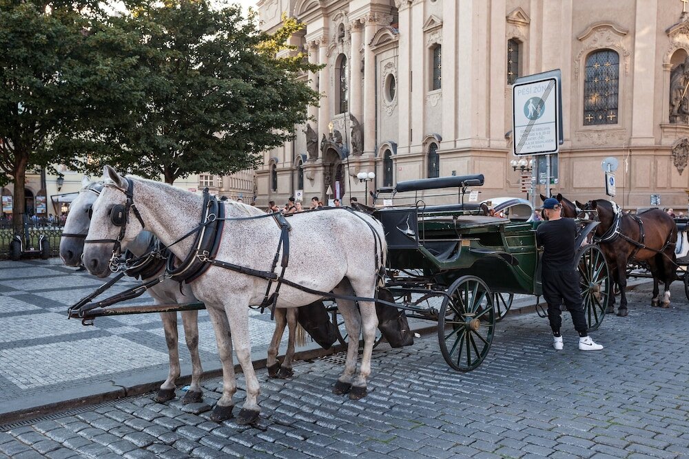 Фото Gorgeous Prague Rooms