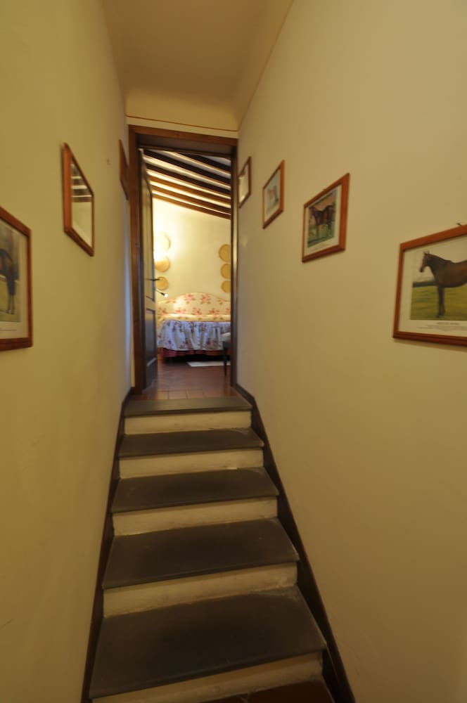 Фото Fattoria di Maiano