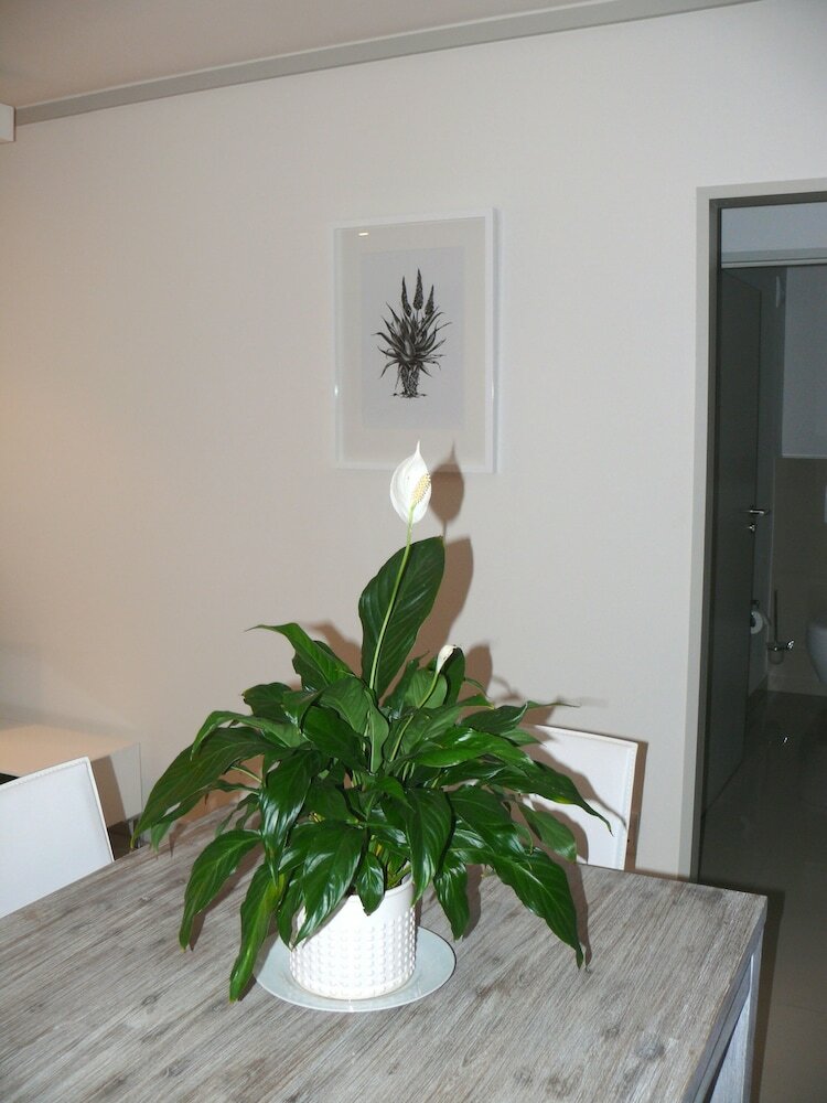 Фото The Quadrant Apartments