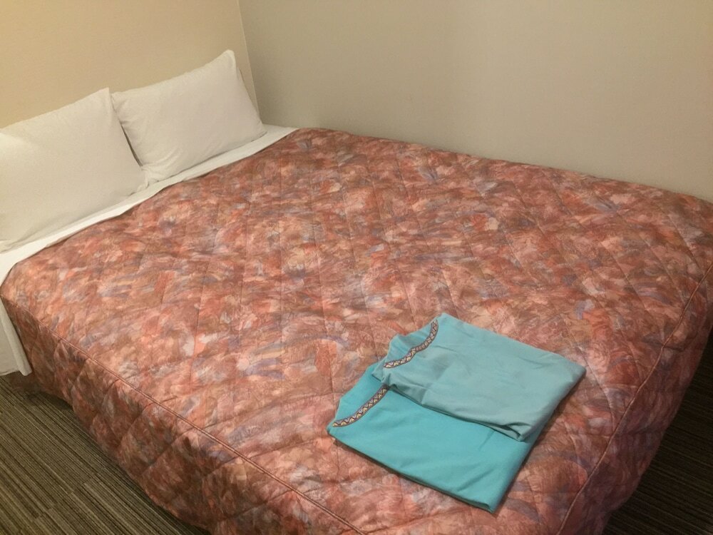 Фото Hotel Niihama Hills Prince House