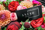 Aneko (Aviakonstruktora Milya Street, 26), beauty salon