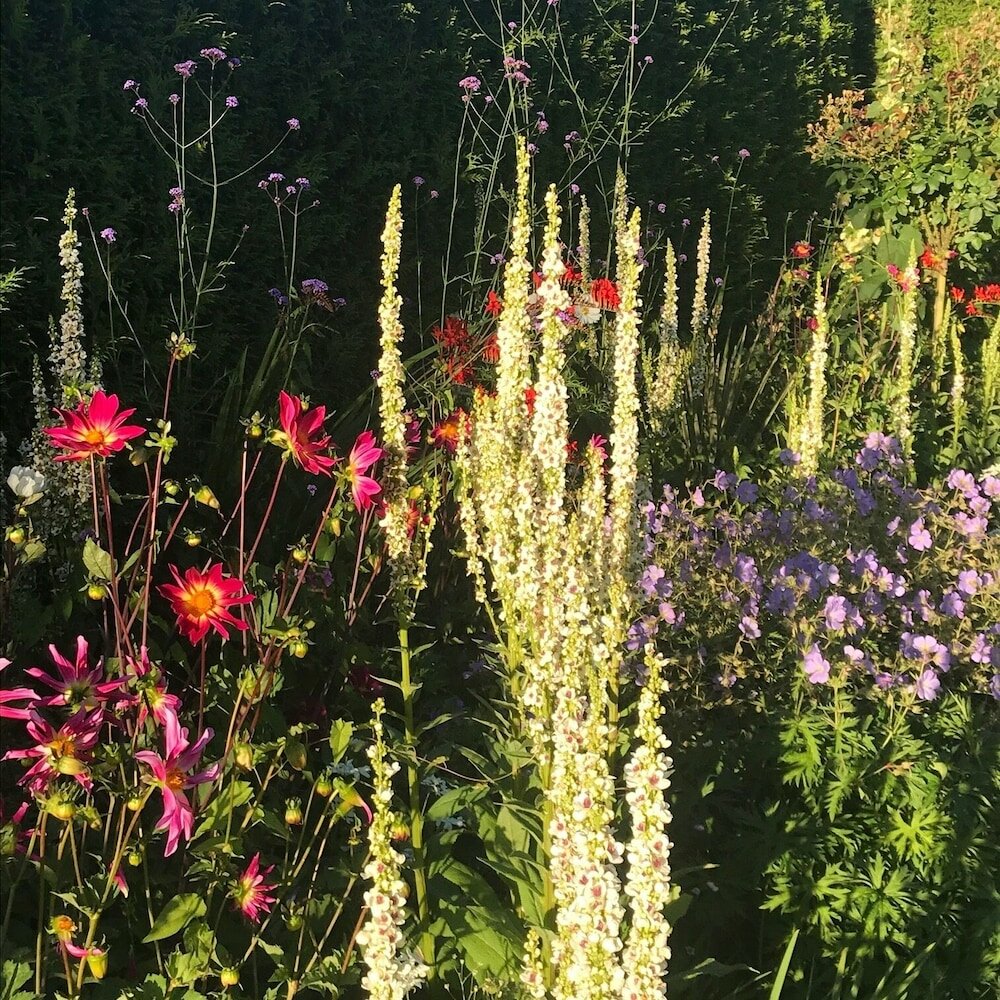 Фото Blaisdon House B&b