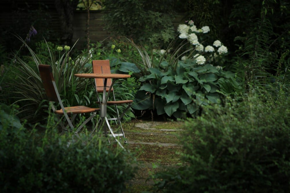 Фото River Birches