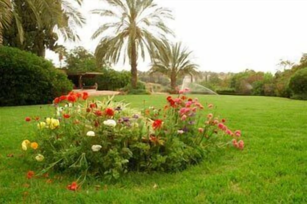 Фото Vila Bakfar