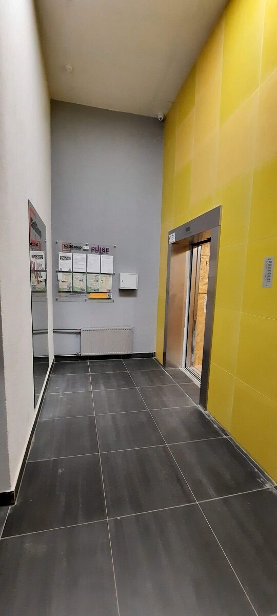 Фото Pulse на Неве