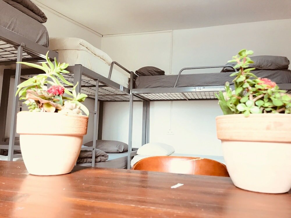 Фото Al Yakhour Hostel