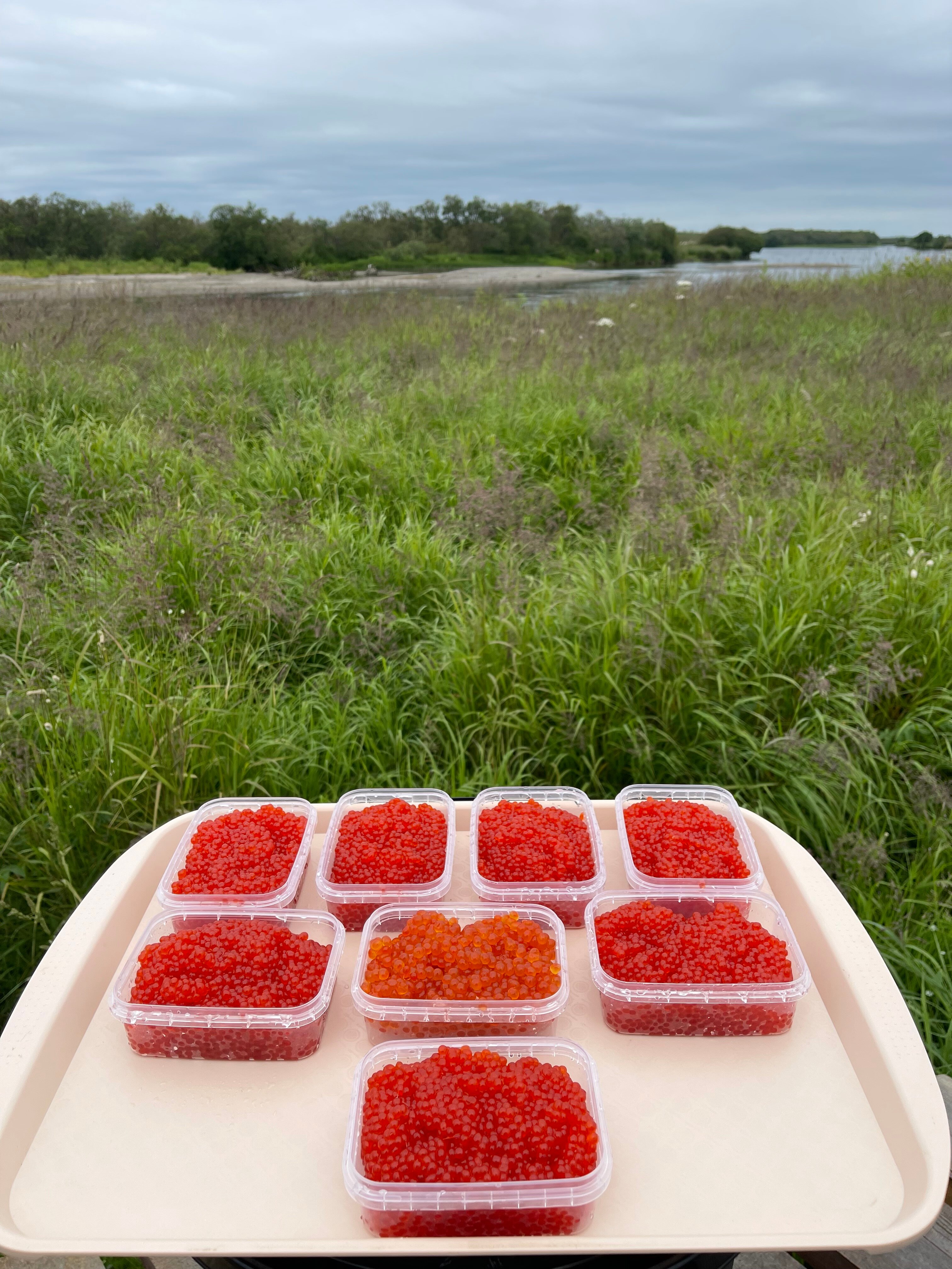 Фото ПроЛосось