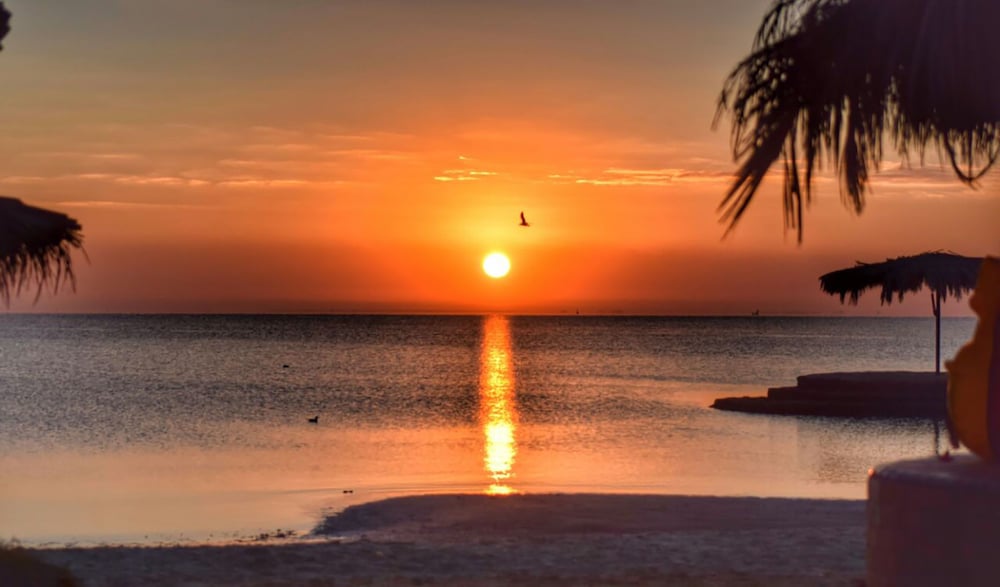 Фото Six Corners Resort