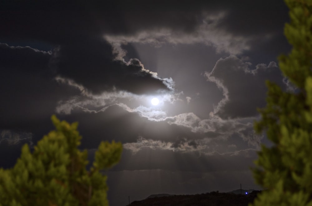 Фото Mama La Roosa