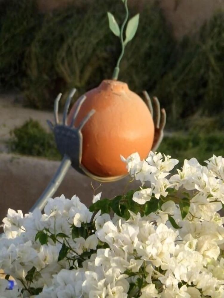 Фото Palais Mandarine