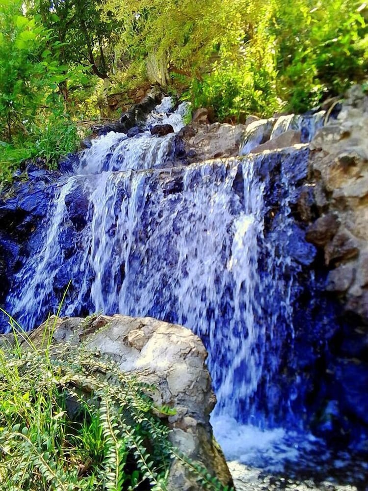 Фото Гостиничный комплекс Park Avenue