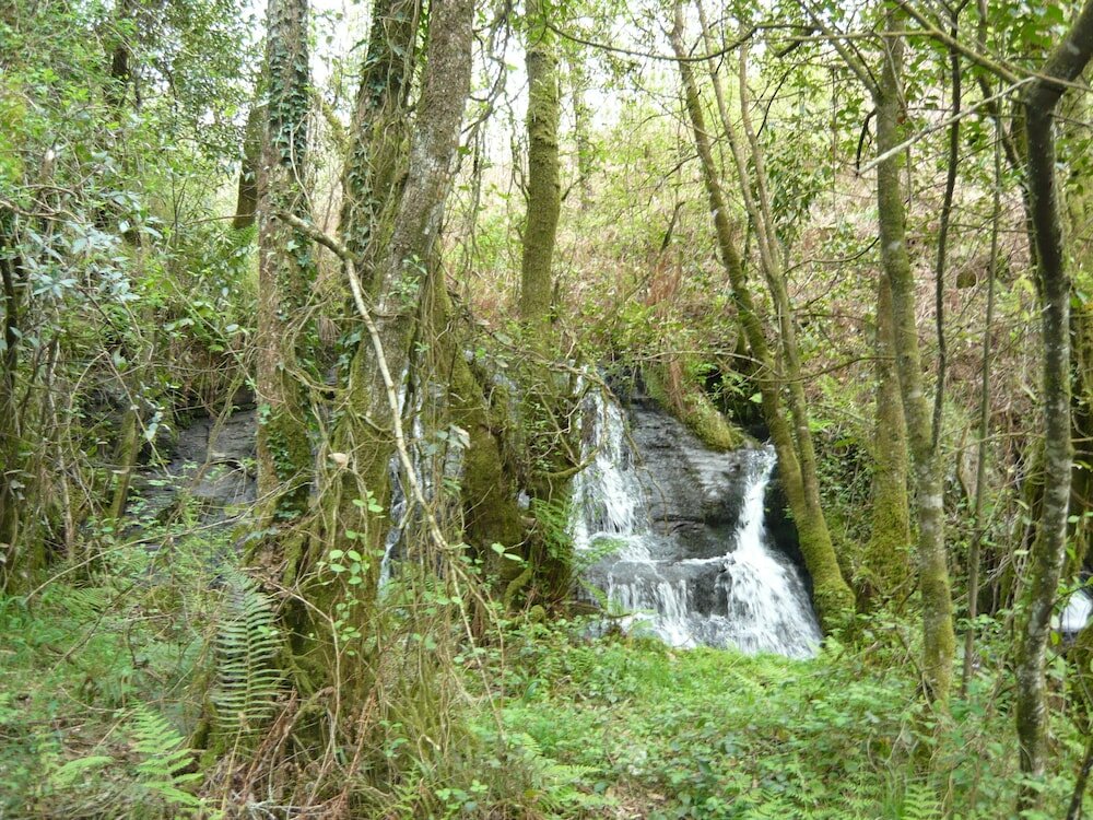 Фото Turismo Rural - O Xastre de Anos