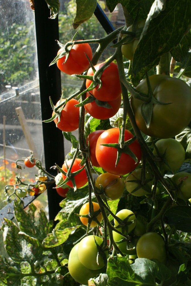 Фото Dean Park Guest House