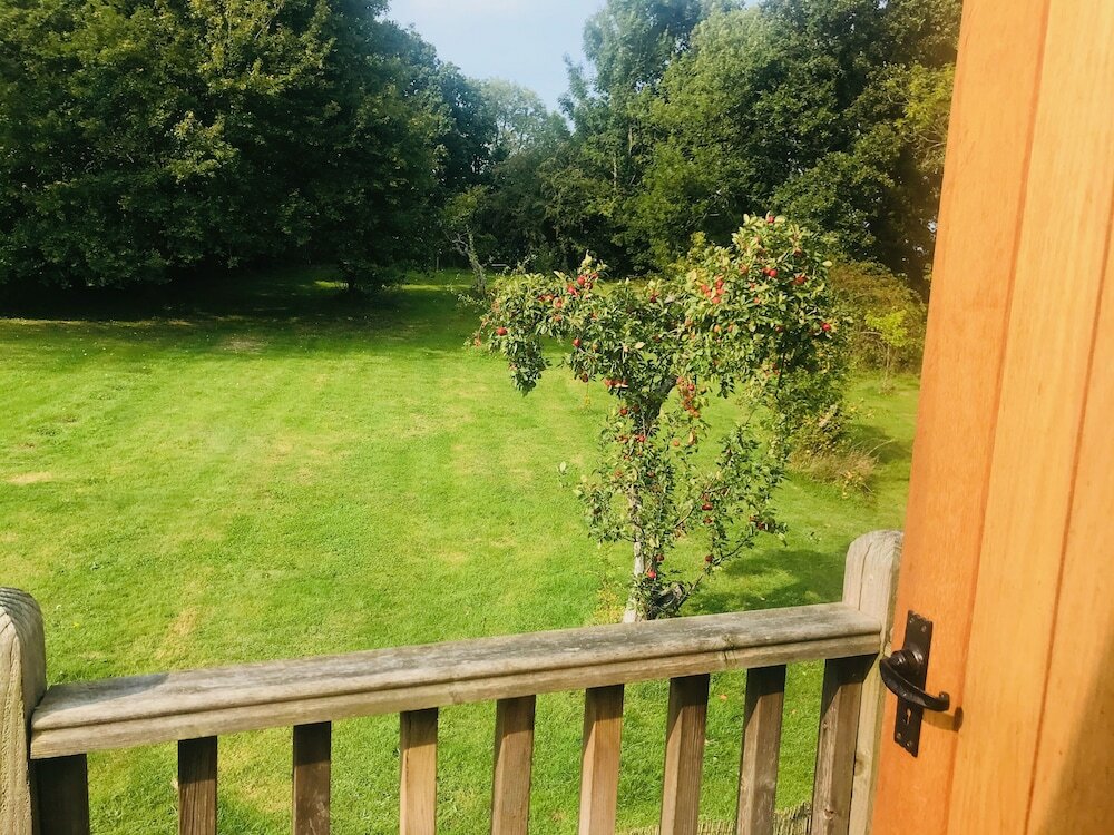 Фото Rosebank Bed & Breakfast