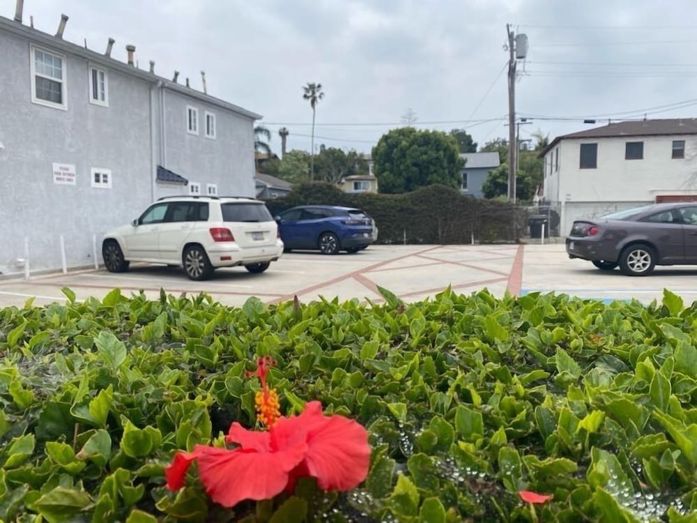 Фото Ocean Park Inn