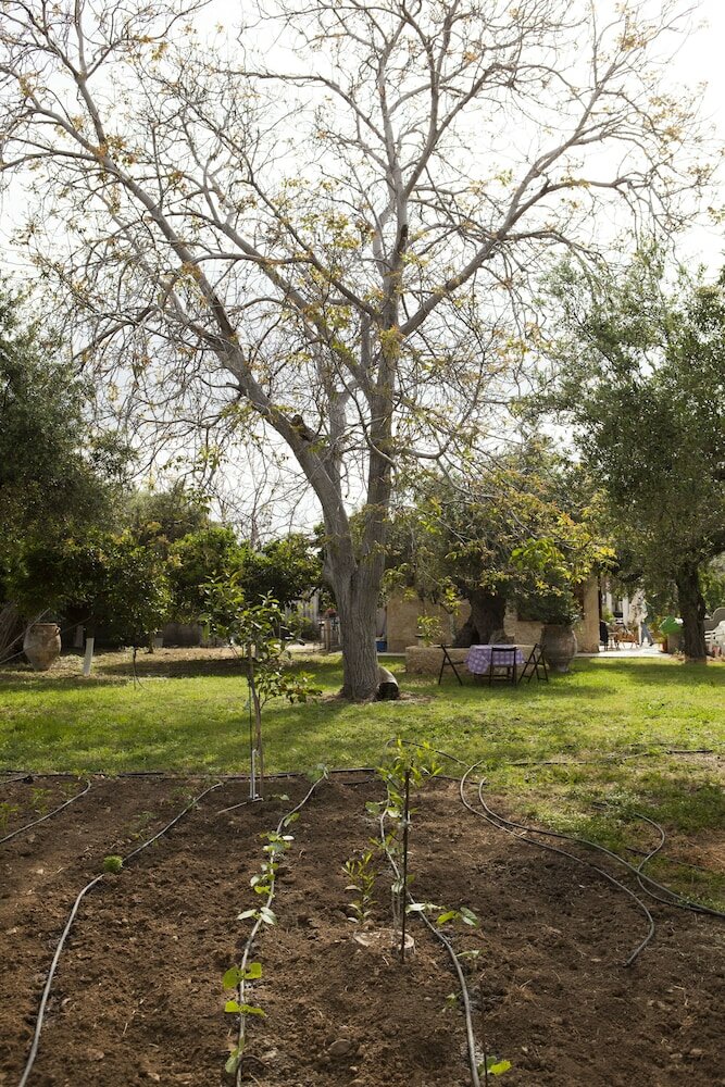 Фото Horizonte Cretan Cottage