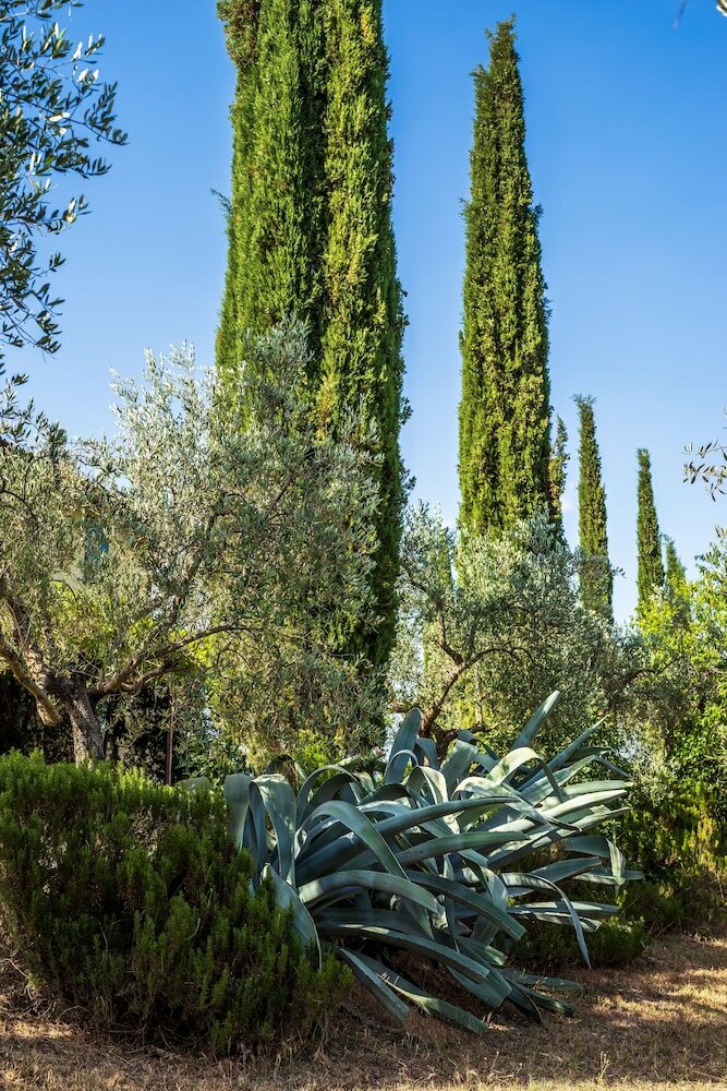 Фото Agriturismo La Fonte
