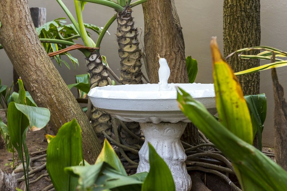 Фото Kingfisher GuestHouse