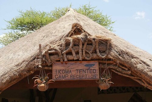 Гостиница Ikoma tented Camp