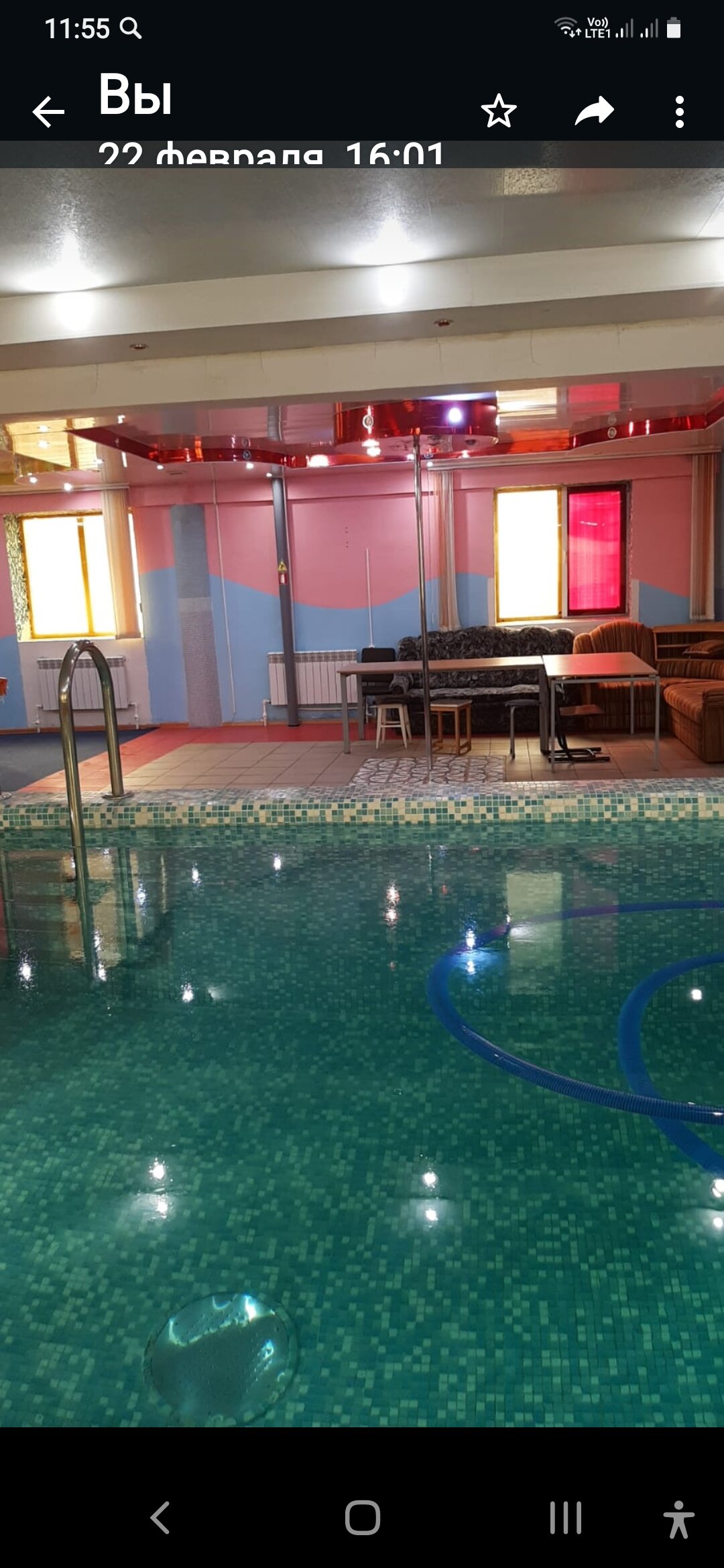 Фото Дельфин