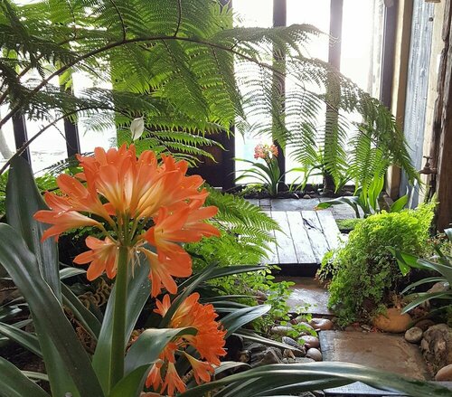 Гостиница Hornbill House