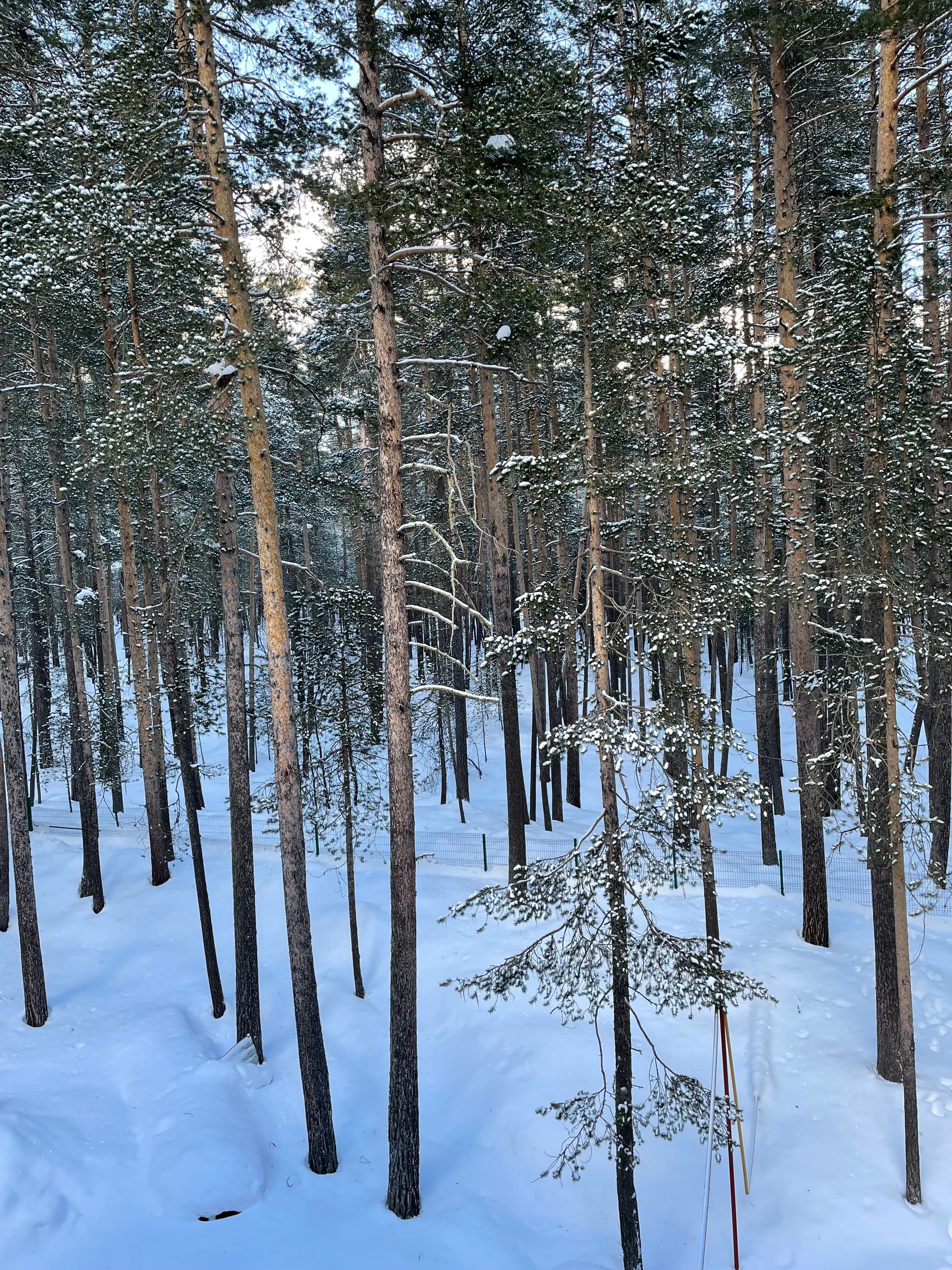 Фото Теберда-Чегет