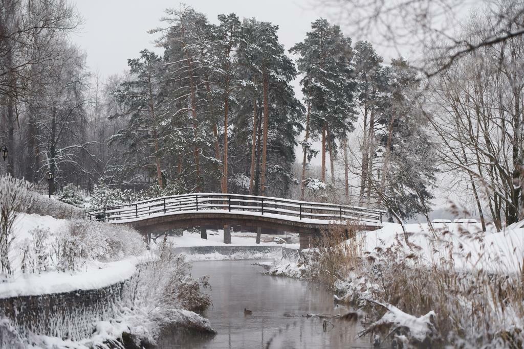 Фото ЗаВидное