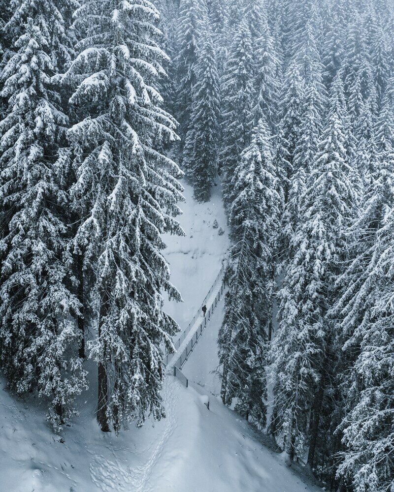 Фото Alpinresort Damüls